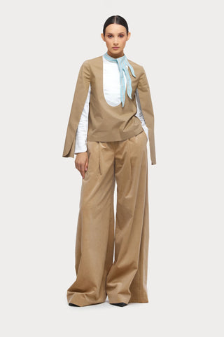 Designer Blouse With Contrast Sleeves Beige